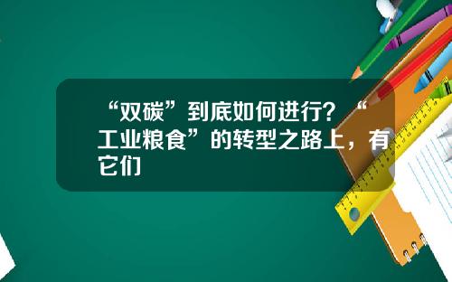 “双碳”到底如何进行？“工业粮食”的转型之路上，有它们