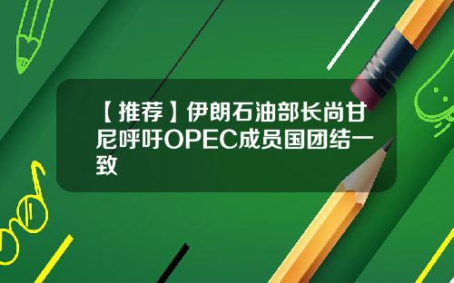 【推荐】伊朗石油部长尚甘尼呼吁OPEC成员国团结一致