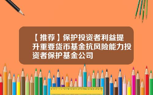 【推荐】保护投资者利益提升重要货币基金抗风险能力投资者保护基金公司
