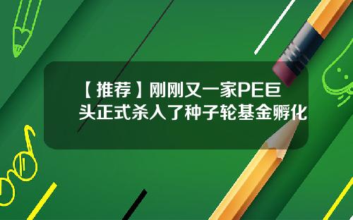 【推荐】刚刚又一家PE巨头正式杀入了种子轮基金孵化