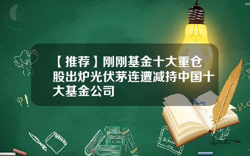 【推荐】刚刚基金十大重仓股出炉光伏茅连遭减持中国十大基金公司