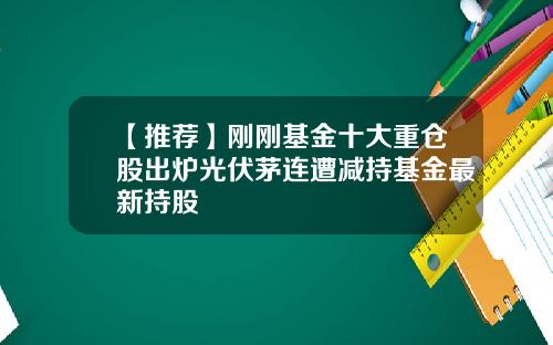 【推荐】刚刚基金十大重仓股出炉光伏茅连遭减持基金最新持股