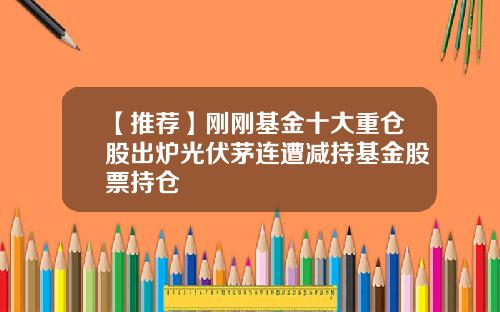 【推荐】刚刚基金十大重仓股出炉光伏茅连遭减持基金股票持仓