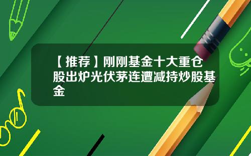 【推荐】刚刚基金十大重仓股出炉光伏茅连遭减持炒股基金