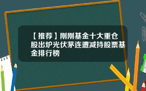 【推荐】刚刚基金十大重仓股出炉光伏茅连遭减持股票基金排行榜