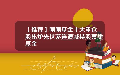 【推荐】刚刚基金十大重仓股出炉光伏茅连遭减持股票类基金