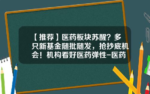 【推荐】医药板块苏醒？多只新基金随批随发，抢抄底机会！机构看好医药弹性-医药基金