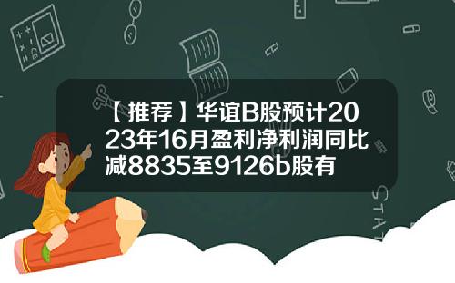 【推荐】华谊B股预计2023年16月盈利净利润同比减8835至9126b股有多少