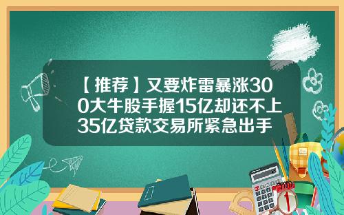 【推荐】又要炸雷暴涨300大牛股手握15亿却还不上35亿贷款交易所紧急出手