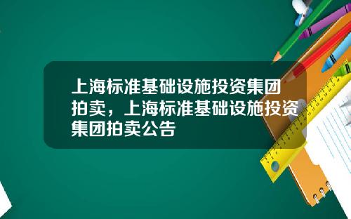 上海标准基础设施投资集团拍卖，上海标准基础设施投资集团拍卖公告