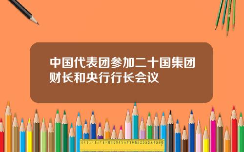 中国代表团参加二十国集团财长和央行行长会议