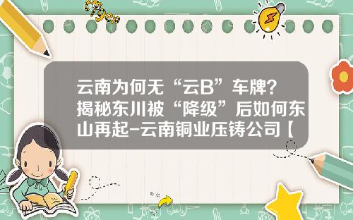 云南为何无“云B”车牌？揭秘东川被“降级”后如何东山再起-云南铜业压铸公司【新闻】