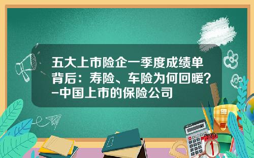 五大上市险企一季度成绩单背后：寿险、车险为何回暖？-中国上市的保险公司