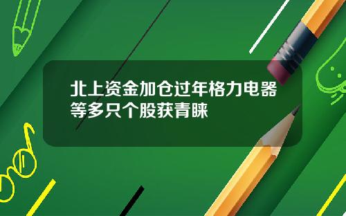 北上资金加仓过年格力电器等多只个股获青睐