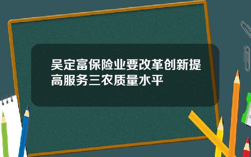 吴定富保险业要改革创新提高服务三农质量水平