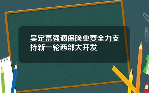 吴定富强调保险业要全力支持新一轮西部大开发