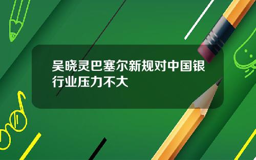 吴晓灵巴塞尔新规对中国银行业压力不大