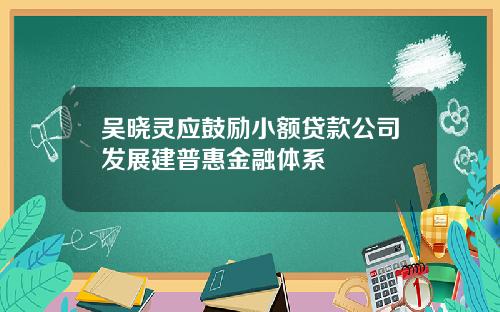 吴晓灵应鼓励小额贷款公司发展建普惠金融体系