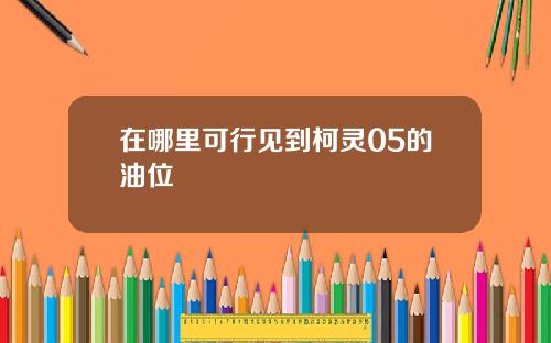 在哪里可行见到柯灵05的油位
