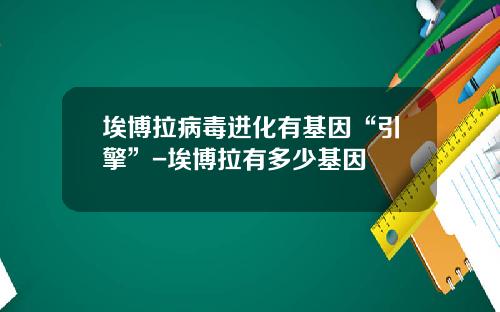 埃博拉病毒进化有基因“引擎”-埃博拉有多少基因