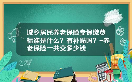 城乡居民养老保险参保缴费标准是什么？有补贴吗？-养老保险一共交多少钱