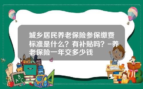 城乡居民养老保险参保缴费标准是什么？有补贴吗？-养老保险一年交多少钱
