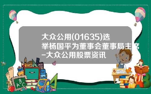 大众公用(01635)选举杨国平为董事会董事局主席-大众公用股票资讯
