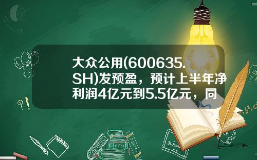 大众公用(600635.SH)发预盈，预计上半年净利润4亿元到5.5亿元，同比扭亏为盈-大众公用股票发行价是多少