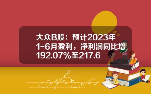 大众B股：预计2023年1-6月盈利，净利润同比增192.07%至217.65%-纯b股公司名称