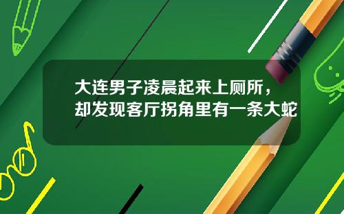 大连男子凌晨起来上厕所，却发现客厅拐角里有一条大蛇