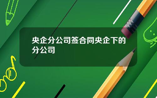 央企分公司签合同央企下的分公司