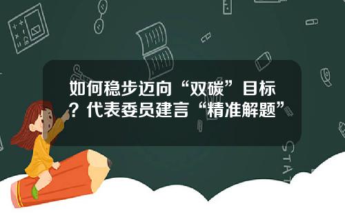 如何稳步迈向“双碳”目标？代表委员建言“精准解题”