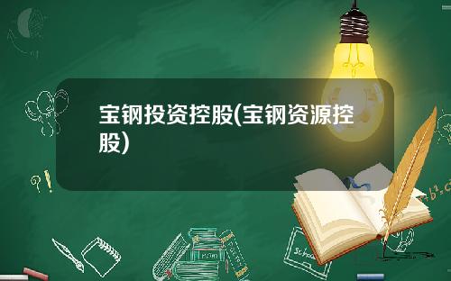 宝钢投资控股(宝钢资源控股)