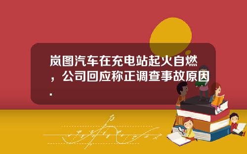 岚图汽车在充电站起火自燃，公司回应称正调查事故原因.