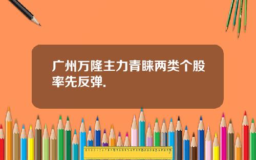 广州万隆主力青睐两类个股率先反弹.