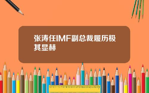 张涛任IMF副总裁履历极其显赫