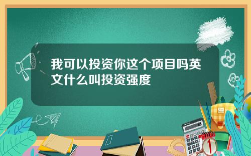 我可以投资你这个项目吗英文什么叫投资强度