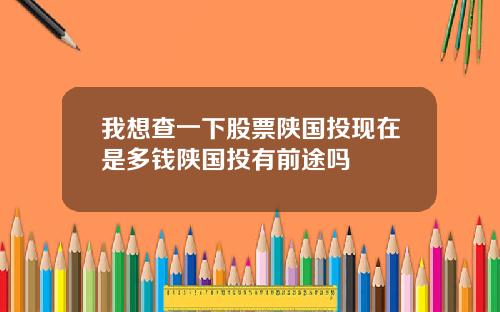 我想查一下股票陕国投现在是多钱陕国投有前途吗