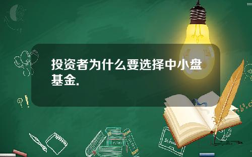 投资者为什么要选择中小盘基金.