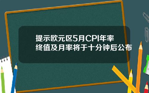 提示欧元区5月CPI年率终值及月率将于十分钟后公布