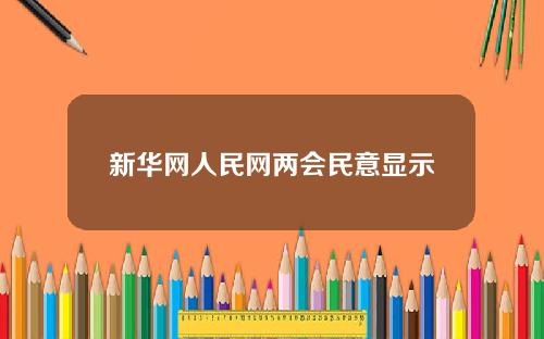 新华网人民网两会民意显示
