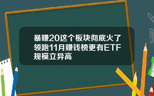 暴赚20这个板块彻底火了领跑11月赚钱榜更有ETF规模立异高