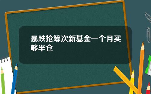 暴跌抢筹次新基金一个月买够半仓