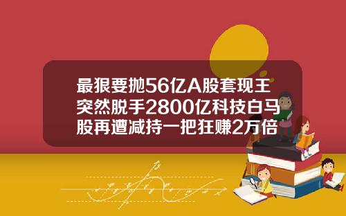 最狠要抛56亿A股套现王突然脱手2800亿科技白马股再遭减持一把狂赚2万倍