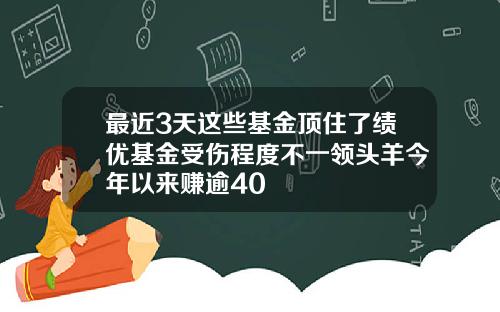 最近3天这些基金顶住了绩优基金受伤程度不一领头羊今年以来赚逾40