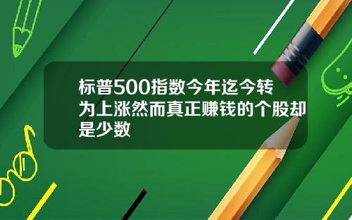 标普500指数今年迄今转为上涨然而真正赚钱的个股却是少数