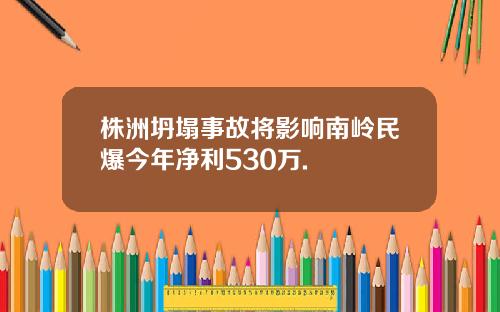 株洲坍塌事故将影响南岭民爆今年净利530万.