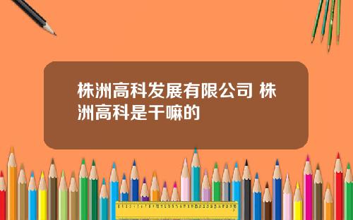 株洲高科发展有限公司 株洲高科是干嘛的