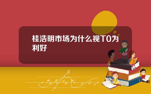 桂浩明市场为什么视T0为利好