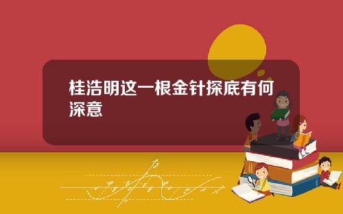 桂浩明这一根金针探底有何深意